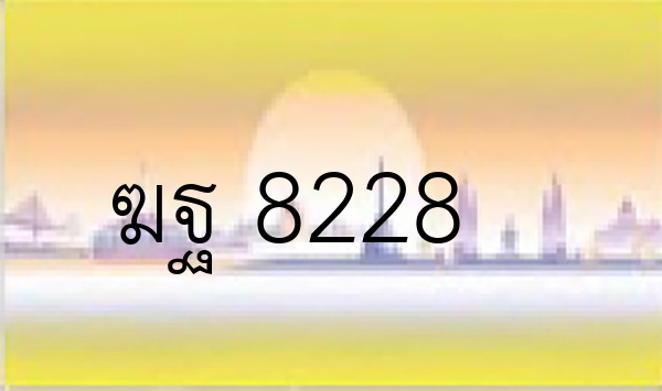 ฆฐ 8228
